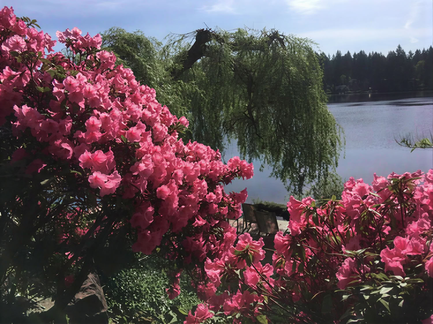 Cottage Lake Bed and Breakfast Spirituelles Retreat
