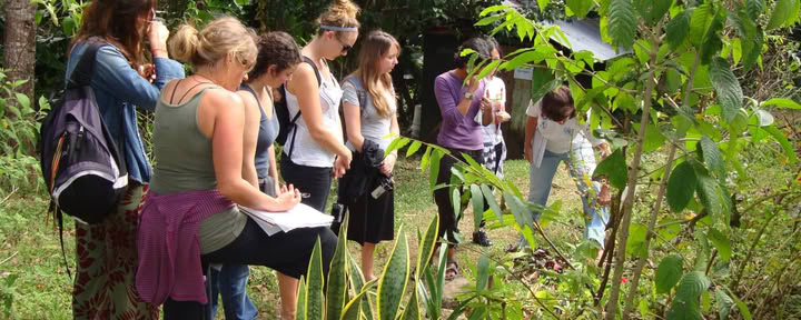 Kräutermedizin & Yoga-Retreat: NEUER TERMIN 5.–10. Sept. 2026