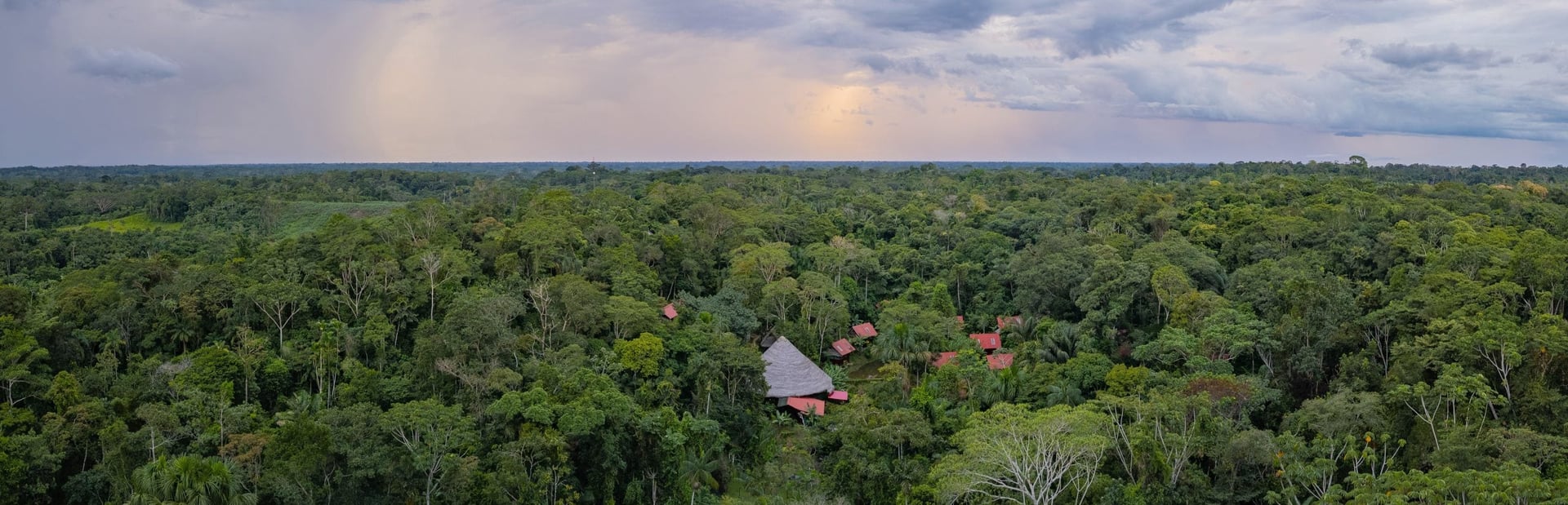 Frauen-Ayahuasca-Heilungs-Retreat