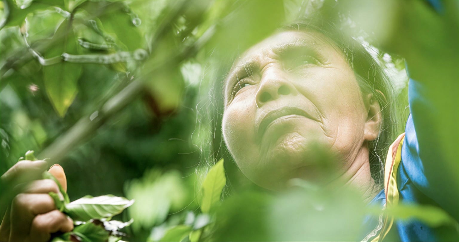 Frauen-Ayahuasca-Heilungs-Retreat