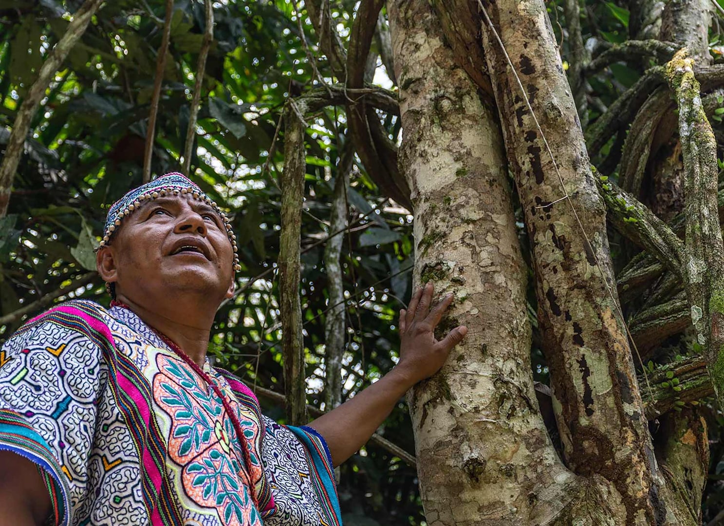 Frauen-Ayahuasca-Heilungs-Retreat