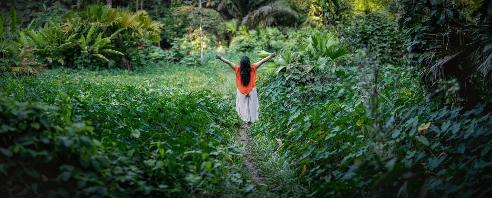 Frauen-Ayahuasca-Heilungs-Retreat