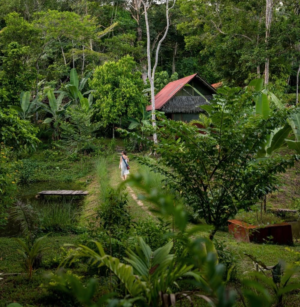 Frauen-Ayahuasca-Heilungs-Retreat