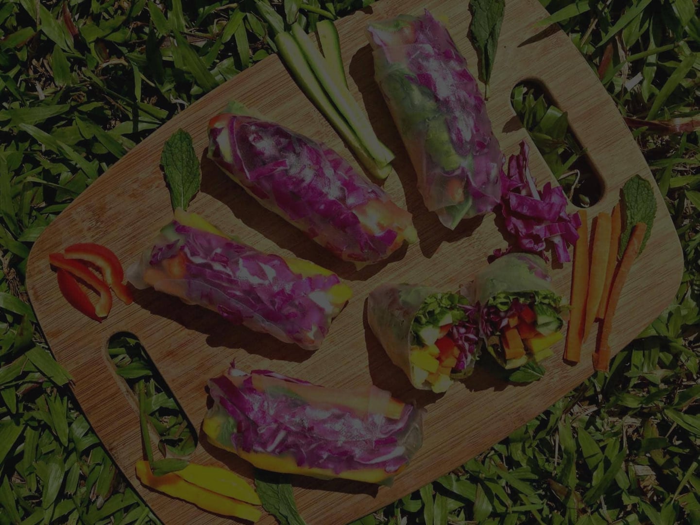 Frauen-Ayahuasca-Heilungs-Retreat