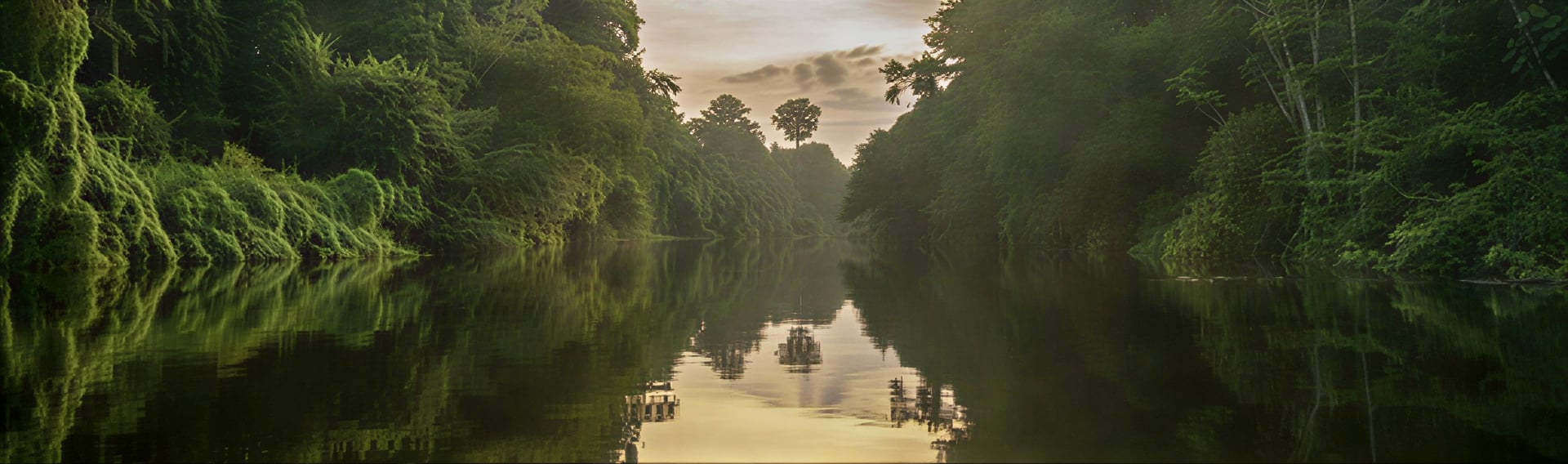 Frauen-Ayahuasca-Heilungs-Retreat