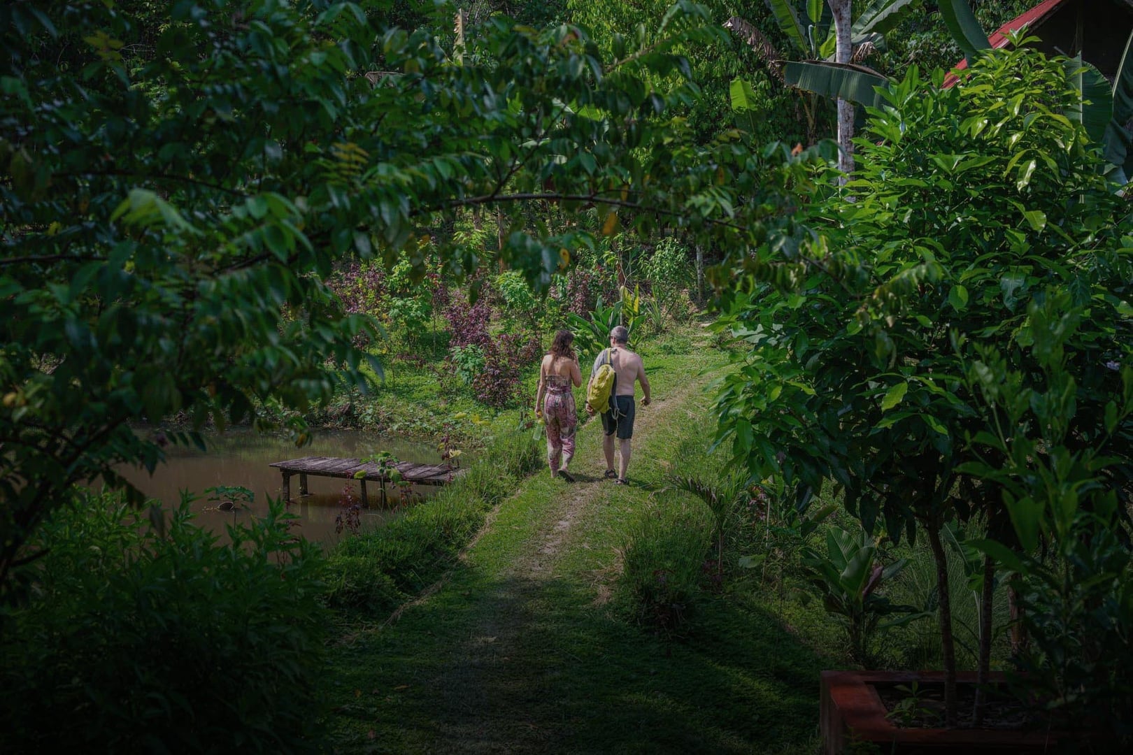 Frauen-Ayahuasca-Heilungs-Retreat