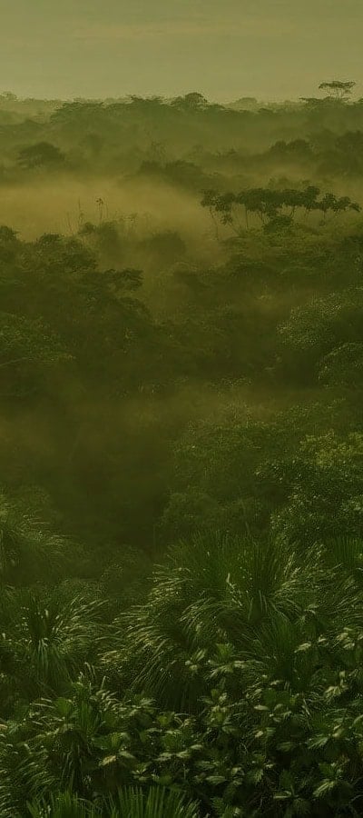 Frauen-Ayahuasca-Heilungs-Retreat