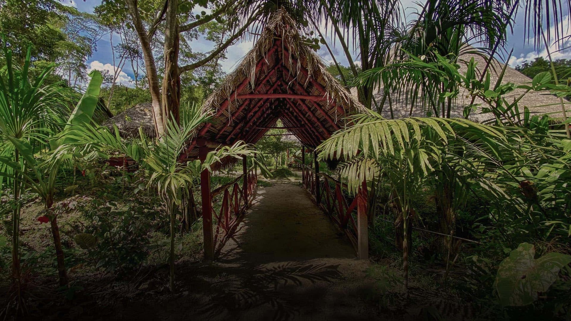 Frauen-Ayahuasca-Heilungs-Retreat