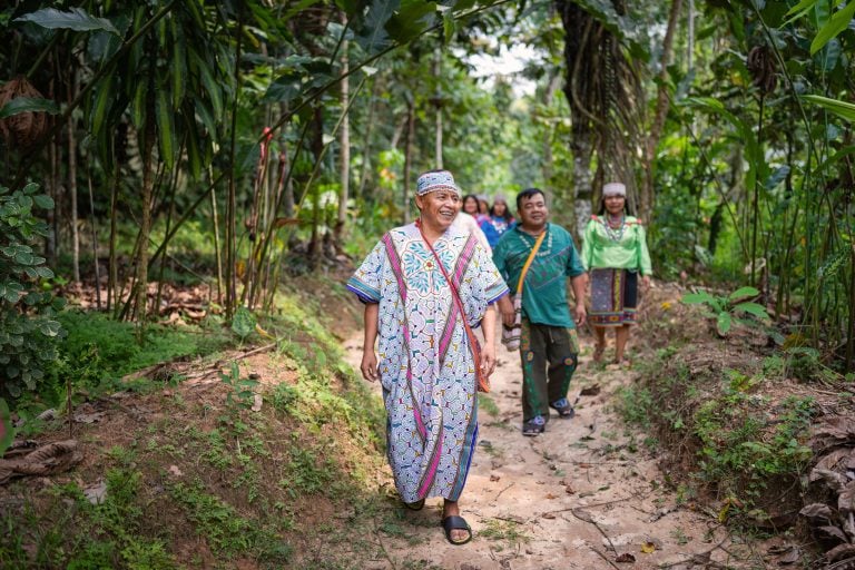 Frauen-Ayahuasca-Heilungs-Retreat