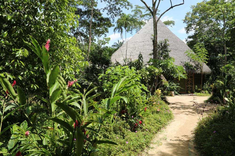 Frauen-Ayahuasca-Heilungs-Retreat
