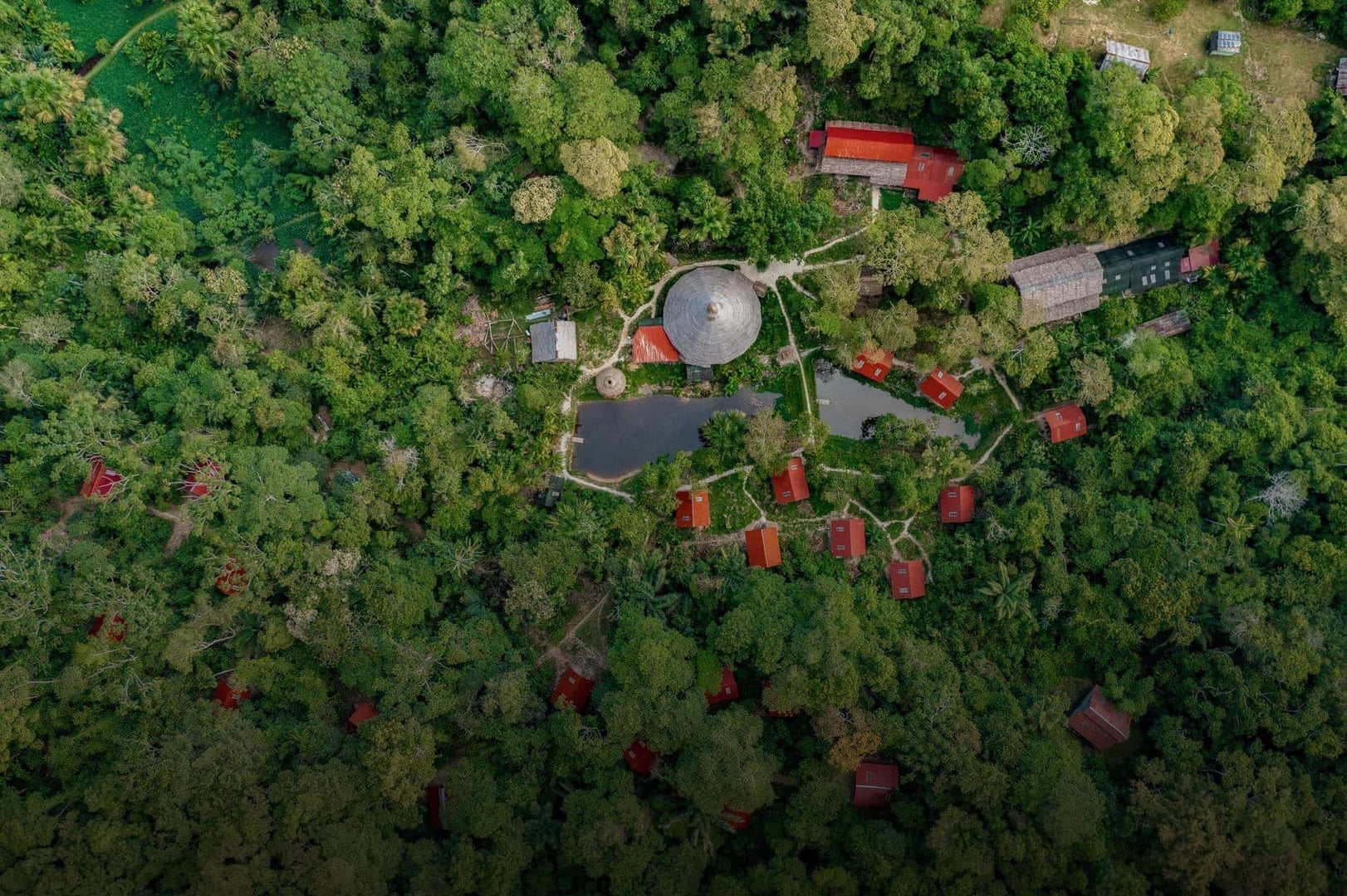 Ayahuasca-Retreat für Gesundheitspraktiker 2026