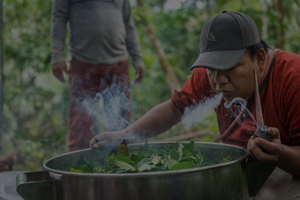 Ayahuasca-Retreat für Gesundheitspraktiker 2026