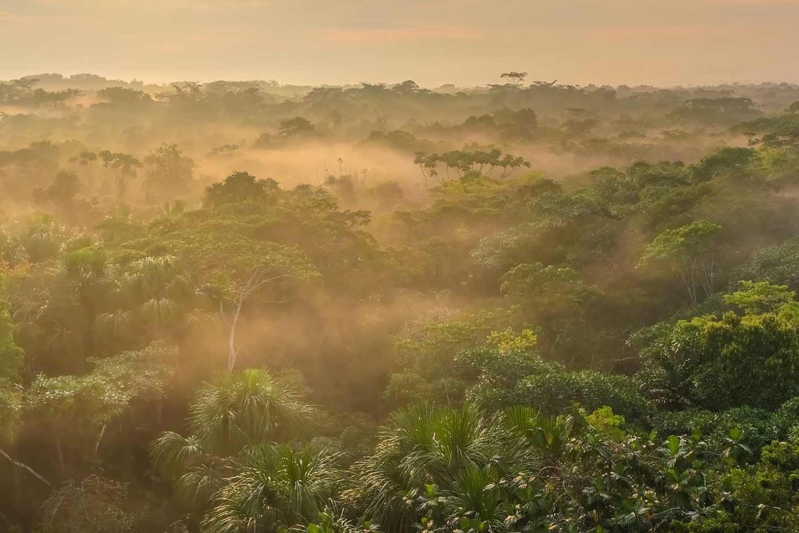 Ayahuasca-Retreat für Gesundheitspraktiker 2026