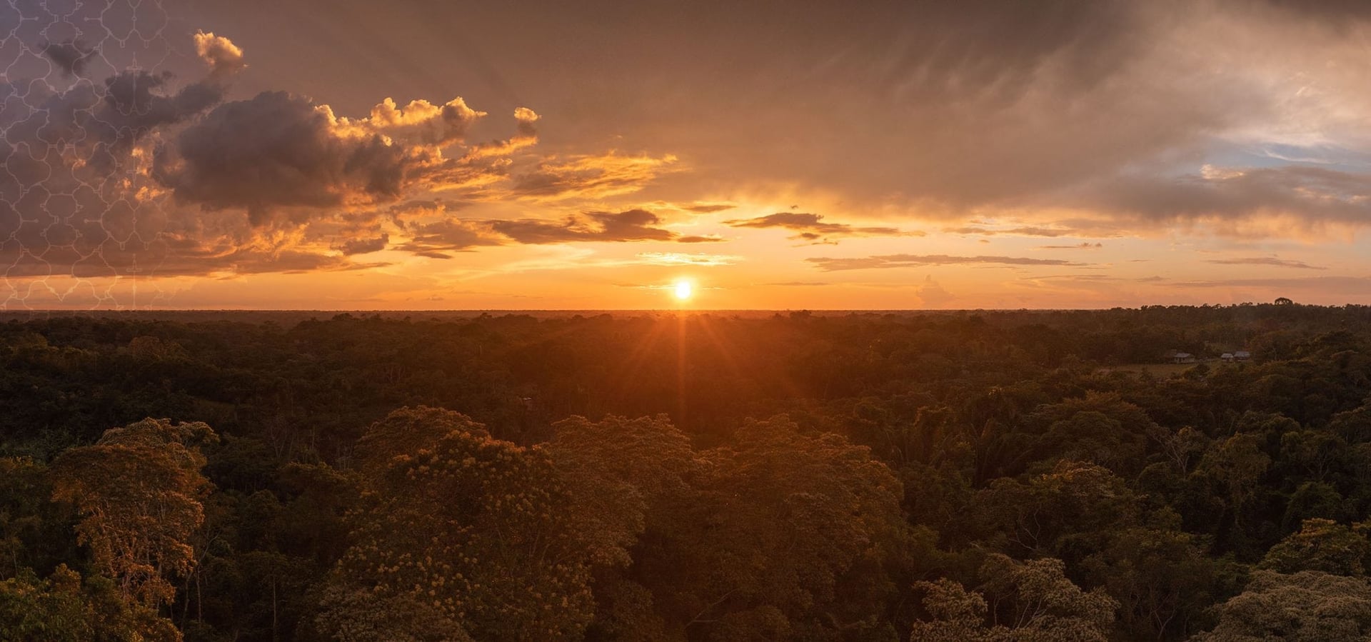 Living in Alignment Ayahuasca Heilungsretreat + 5-Tage-Integrations-Extension-Retreat