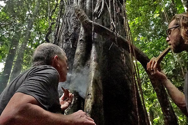 8-Wochen-Ayahuasca-Einführungskurs