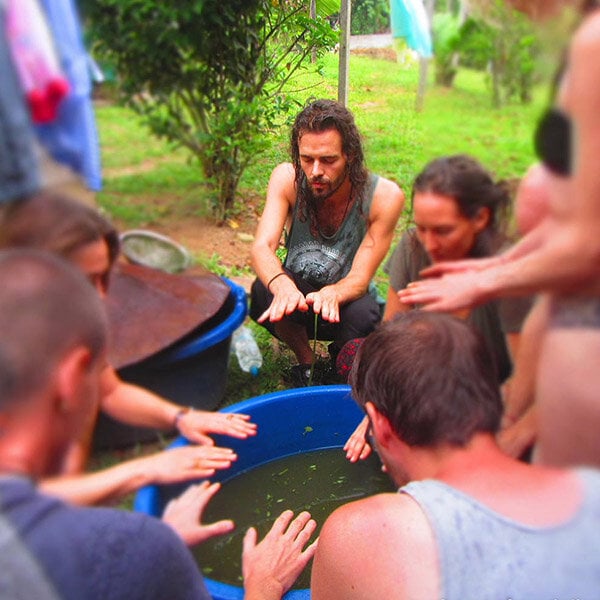 8-Wochen-Ayahuasca-Einführungskurs