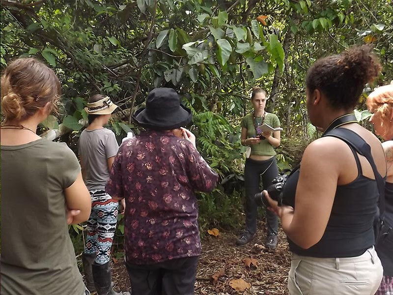 10-tägiges Ayahuasca-Retreat für Frauen