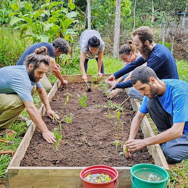 Achtwöchiger Shipibo-Ayahuasca-Einführungskurs in Peru – 4. Oktober - 28. November 2026