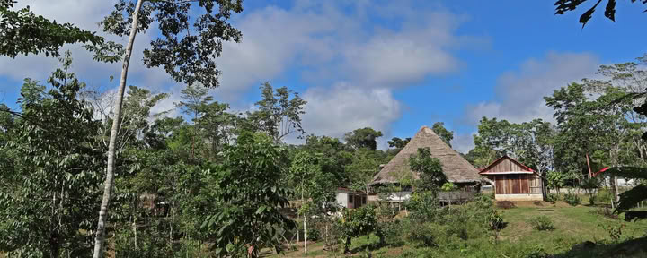 Achtwöchiger Shipibo-Ayahuasca-Einführungskurs in Peru – 4. Oktober - 28. November 2026