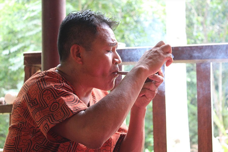 Shipibo Ayahuasca-Retreat und Pflanzen-Diät