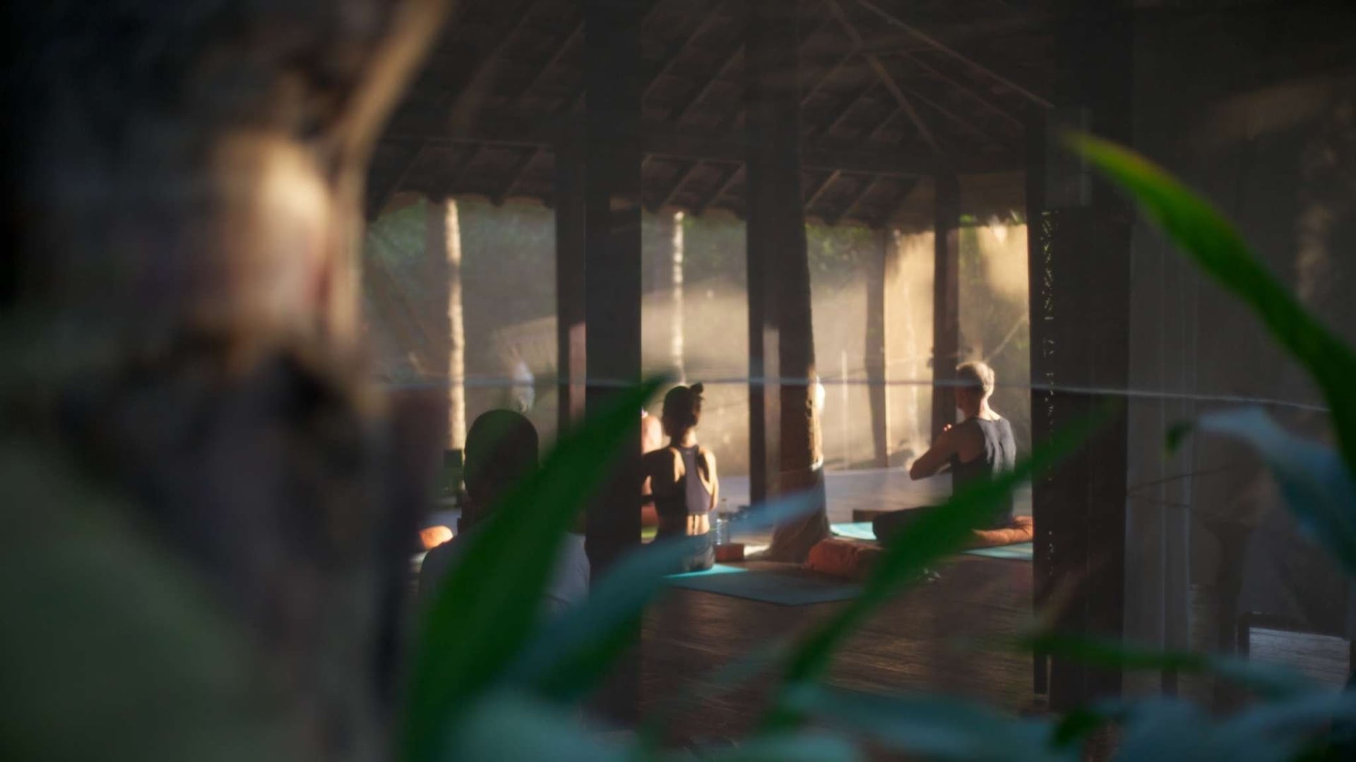 Feuer und Nektar Yoga-Retreat in Goa, Indien