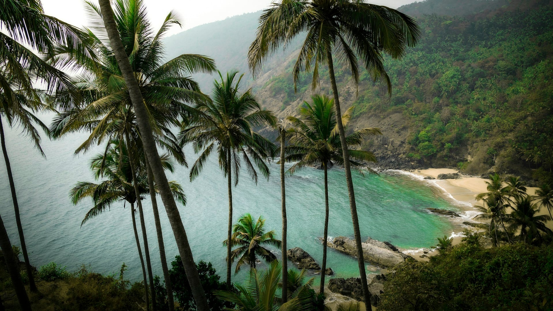 Feuer und Nektar Yoga-Retreat in Goa, Indien
