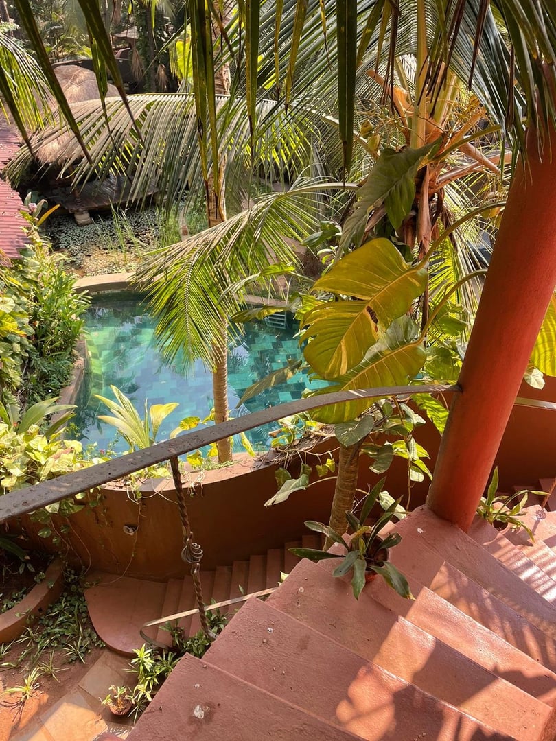Feuer und Nektar Yoga-Retreat in Goa, Indien