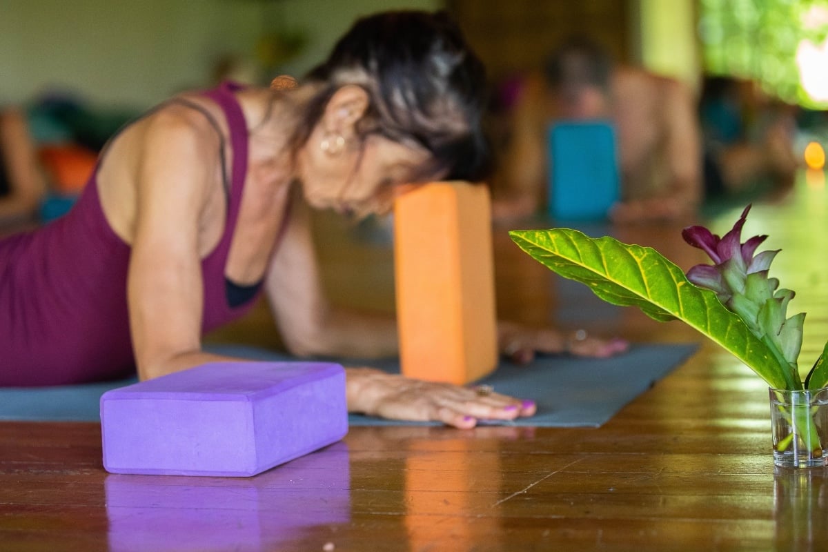 Restorative Yoga & Meditation Training