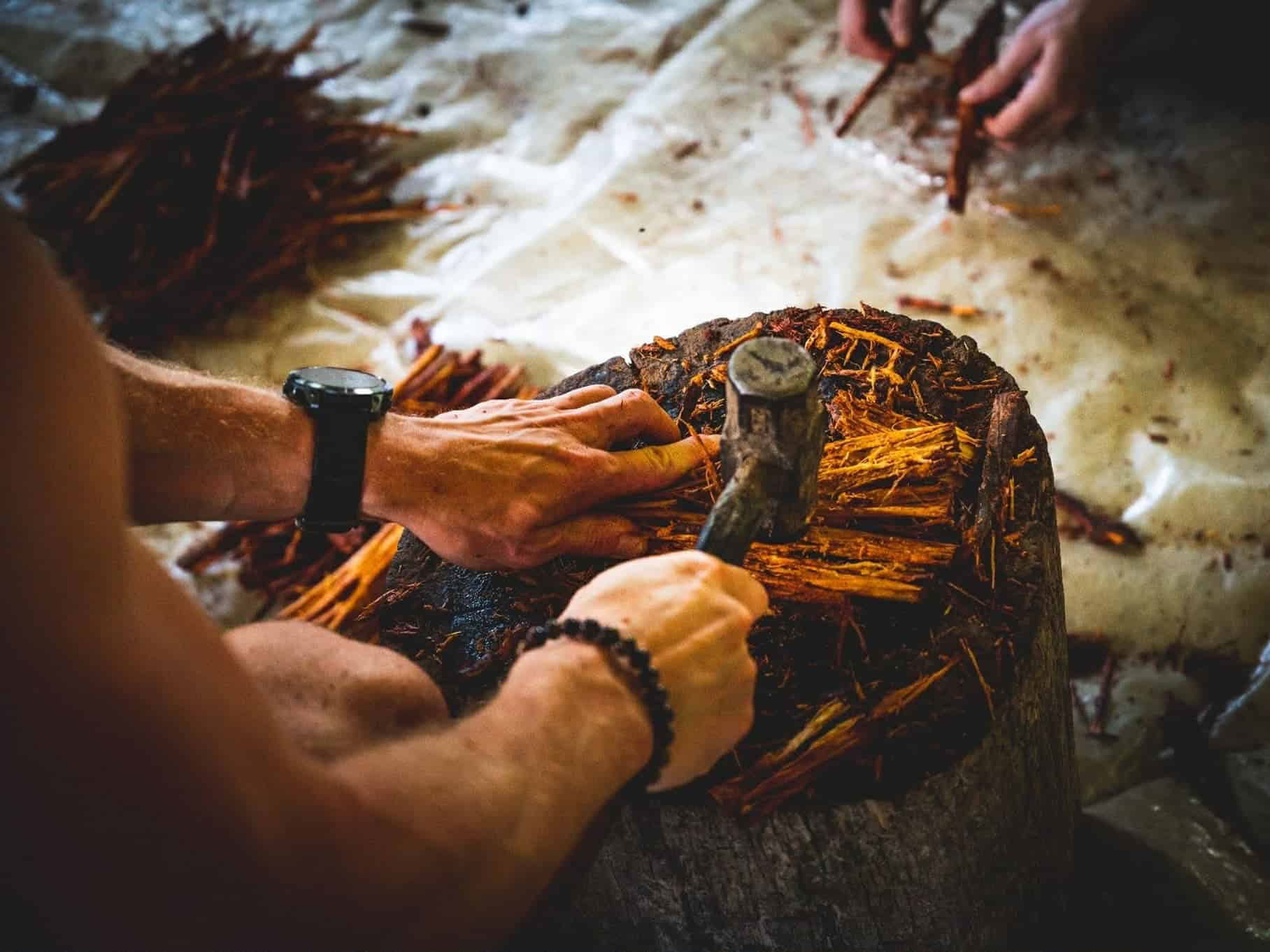 5-tägiges Ayahuasca-Retreat in Ecuador