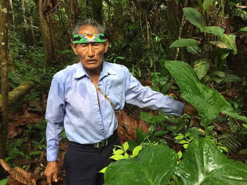 5-tägiges Ayahuasca-Retreat in Ecuador