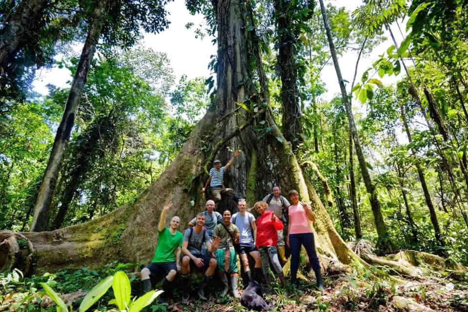5-tägiges Ayahuasca-Retreat in Ecuador