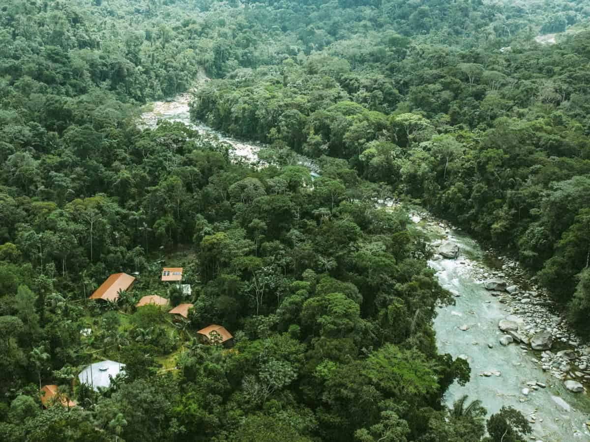 5-tägiges Ayahuasca-Retreat in Ecuador