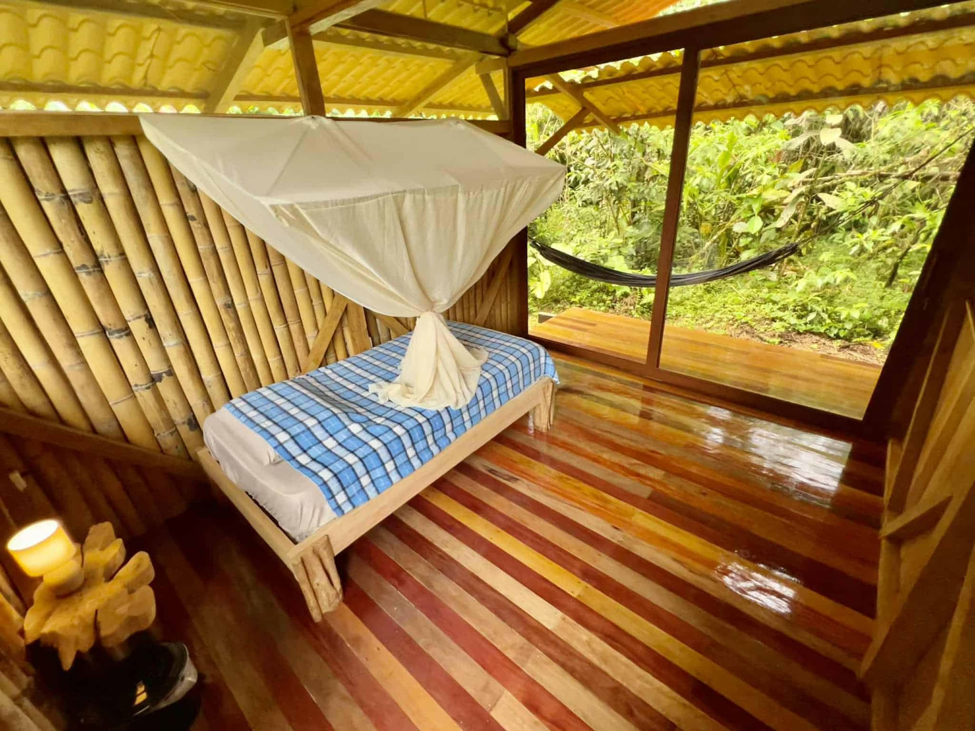 5-tägiges Ayahuasca-Retreat in Ecuador