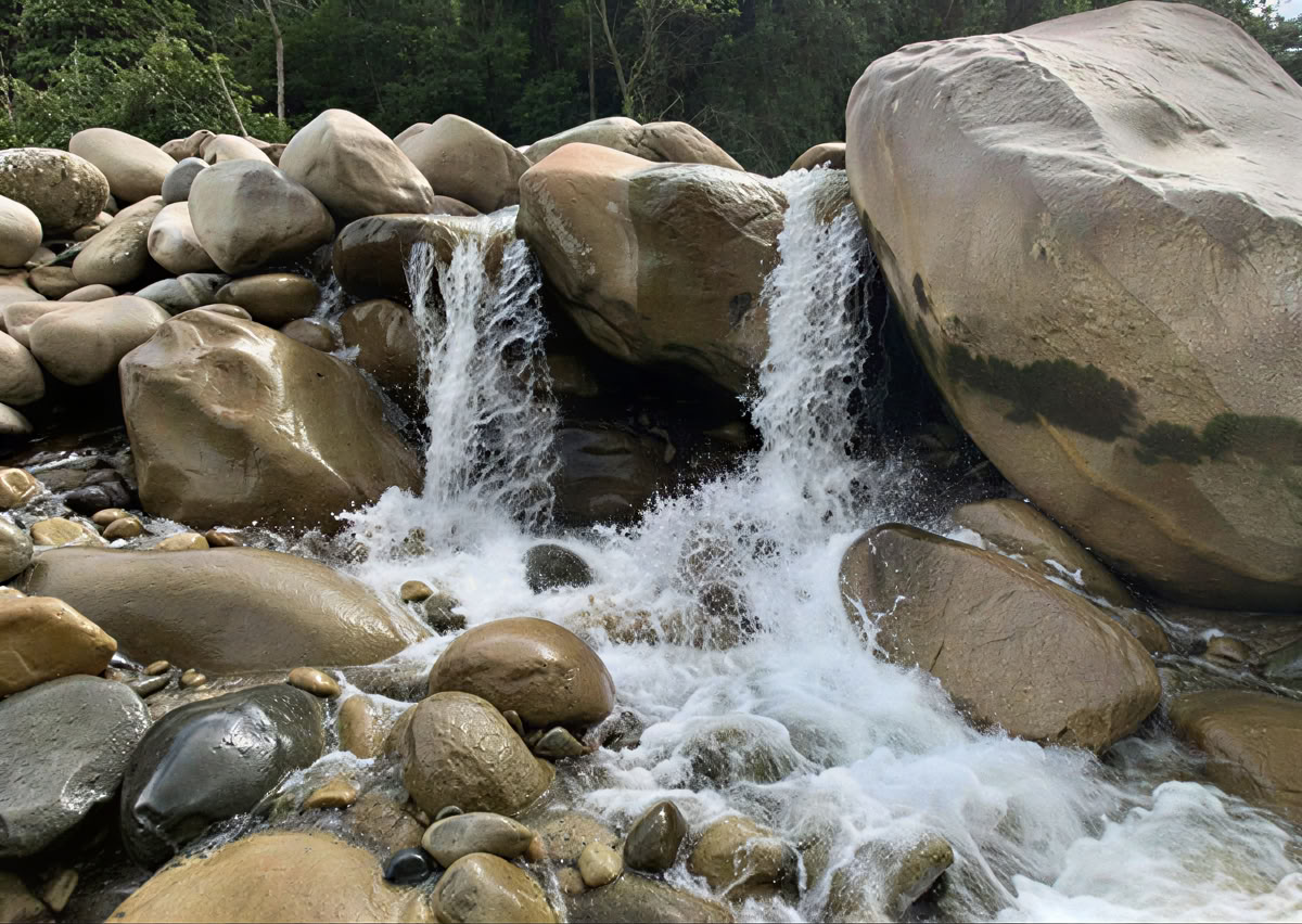 5-tägiges Ayahuasca-Retreat in Ecuador