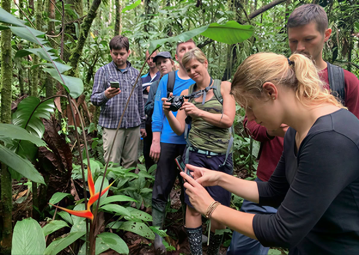 5-tägiges Ayahuasca-Retreat in Ecuador