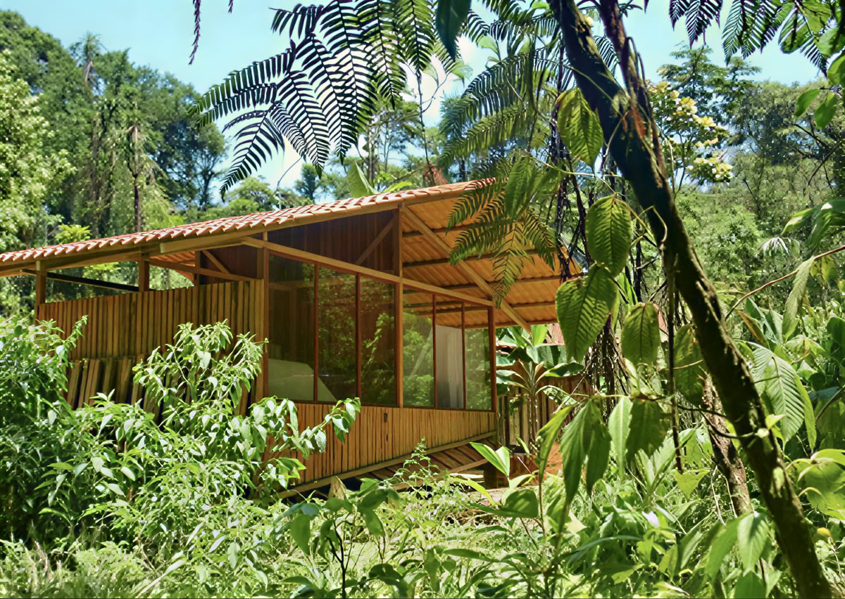 5-tägiges Ayahuasca-Retreat in Ecuador