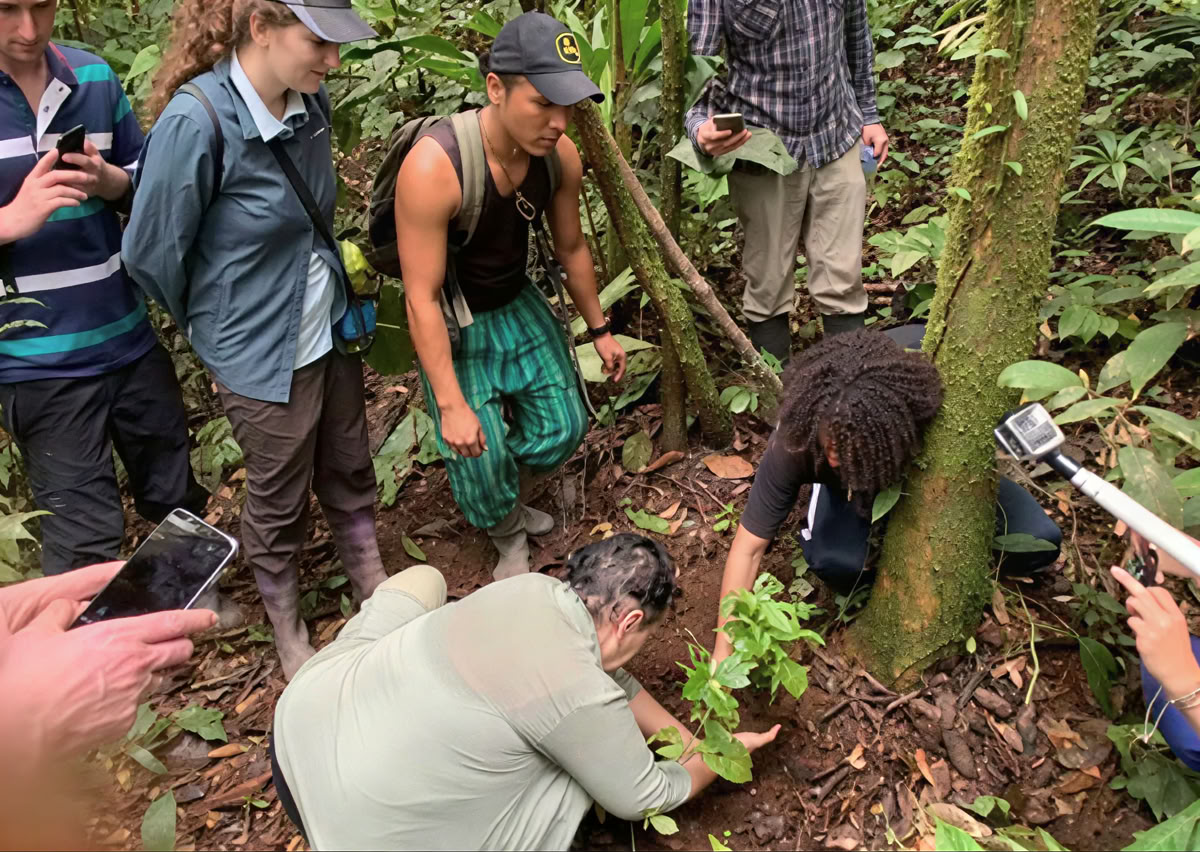 5-tägiges Ayahuasca-Retreat in Ecuador