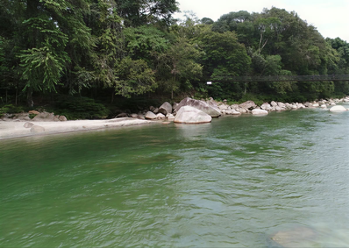 5-tägiges Ayahuasca-Retreat in Ecuador