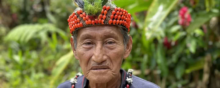 5-tägiges Ayahuasca-Retreat in Ecuador