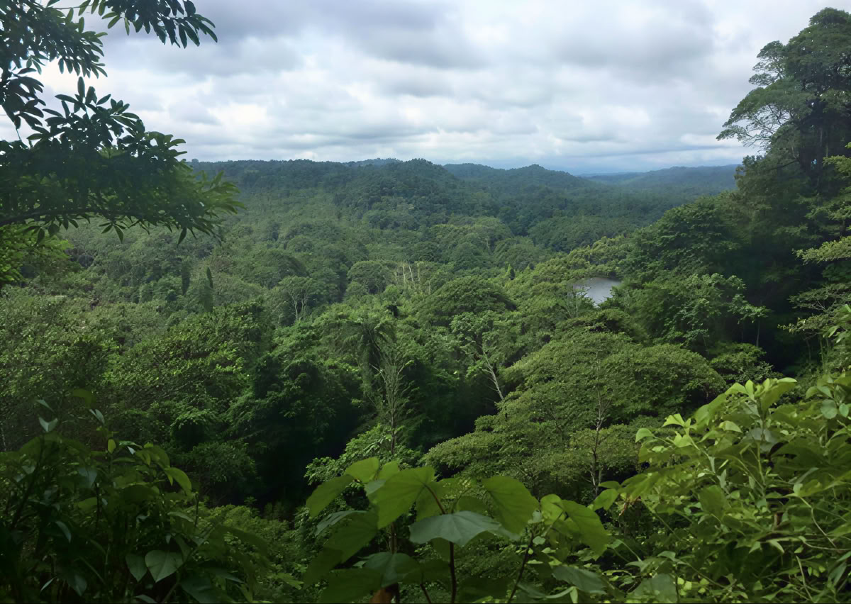 Ayahuasca-Zeremonie in Ecuador