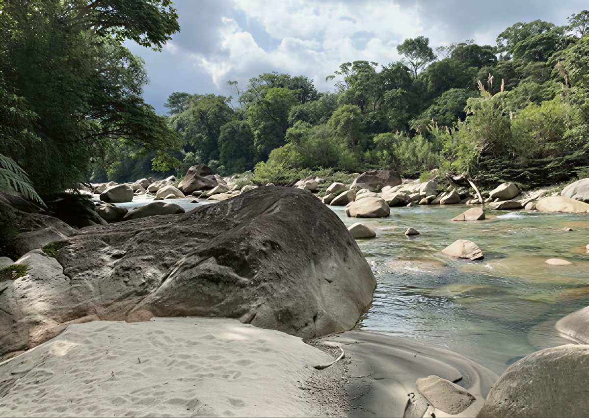 Ayahuasca-Zeremonie in Ecuador