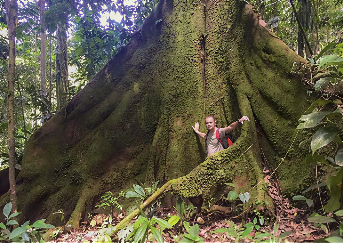 Ayahuasca-Zeremonie in Ecuador