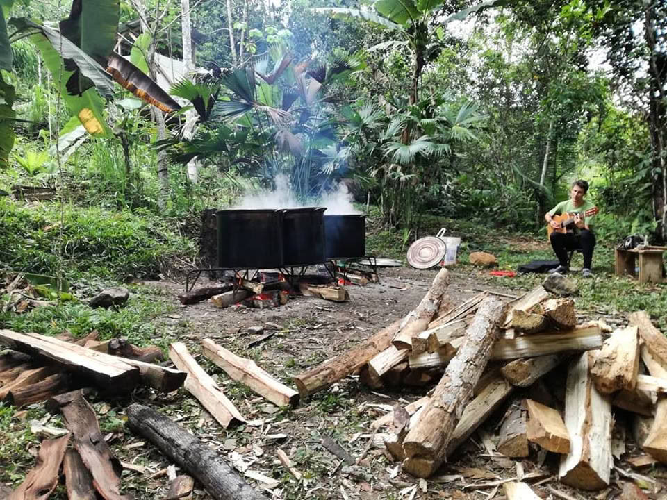 30 Tage – Ayahuasca & Master Plant Diät