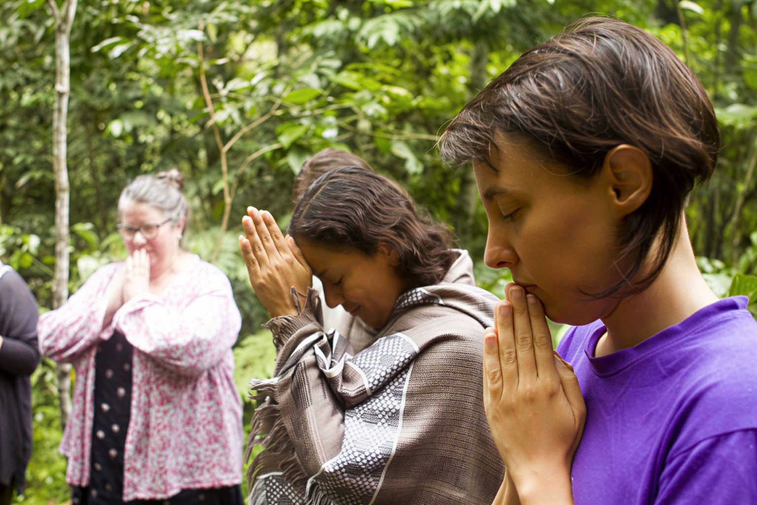 14 Tage – Frauen-Ayahuasca- und Meisterpflanzen-Diät
