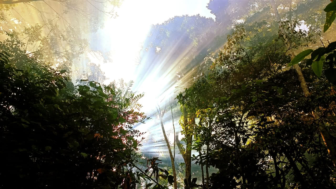Ayahuasca und Machu Picchu 13-tägiges Retreat