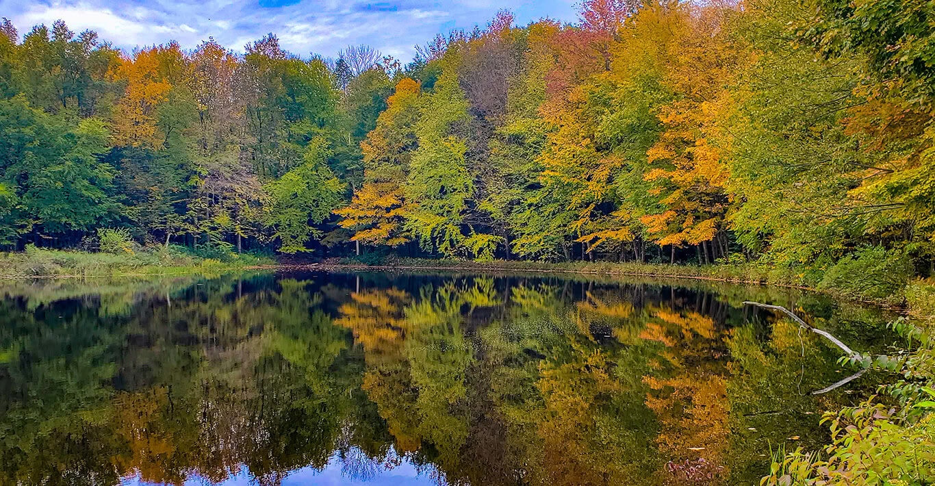 Erntemond-Festival am Sunset Pond