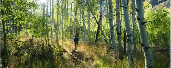 Herz des Berges Sesshin: Ein Backpacking-Sesshin im Bells Mountain Dharma Center