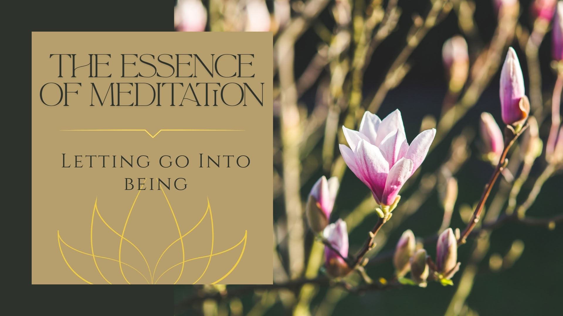 Shamatha-Meditation – AM
