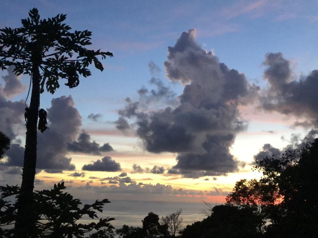 InwardBound Private Psilocybin-Retreat: 4 Tage, 2 Psilocybin-Sitzungen – Niederlande/ Costa Rica
