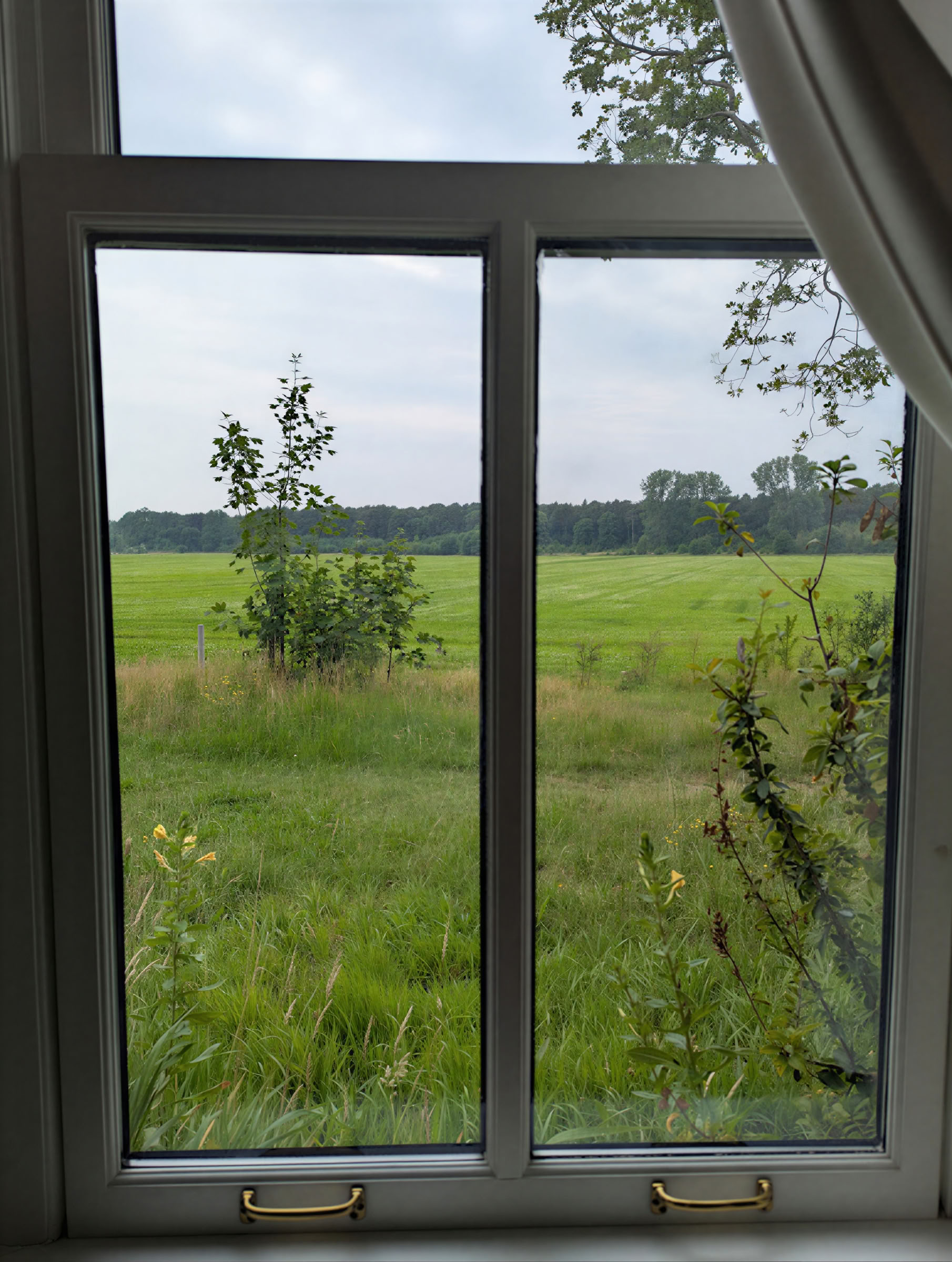 InwardBound Private Psilocybin-Retreat: 4 Tage, 2 Psilocybin-Sitzungen – Niederlande/ Costa Rica
